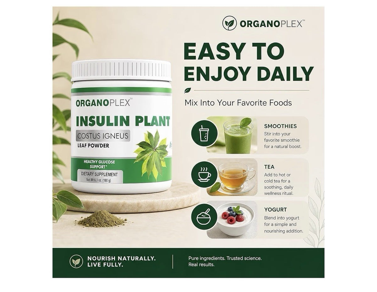 ORGANOPLEX Insulin Plant COSTUS IGNEUS Leaf Powder Healthy Glucose Support 180g