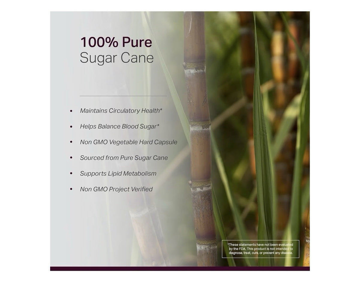 Anew Vitaㅤ Policosanol Healthy Lipid Levels Platelet Function Circulation 120cap