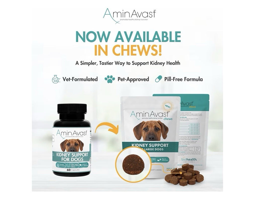 AminAvast Kidney Support For Dogs Supplement Natural Kidney Function 1000mg 60ca
