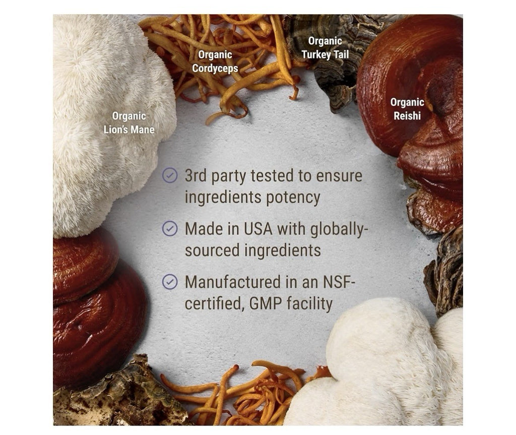 Live Conscious Lion’s Mane Mushroom Blend Brain Focus Memory Calm Energy 2 Pack