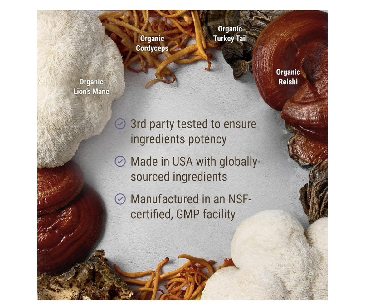 Live Conscious Lion’s Mane Mushroom Blend Brain Focus Memory Calm Energy 2 Pack