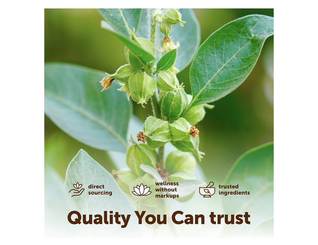 Micro Ingredients Ashwagandha Highly Bioavailability Made With Macao Oil 150sgel