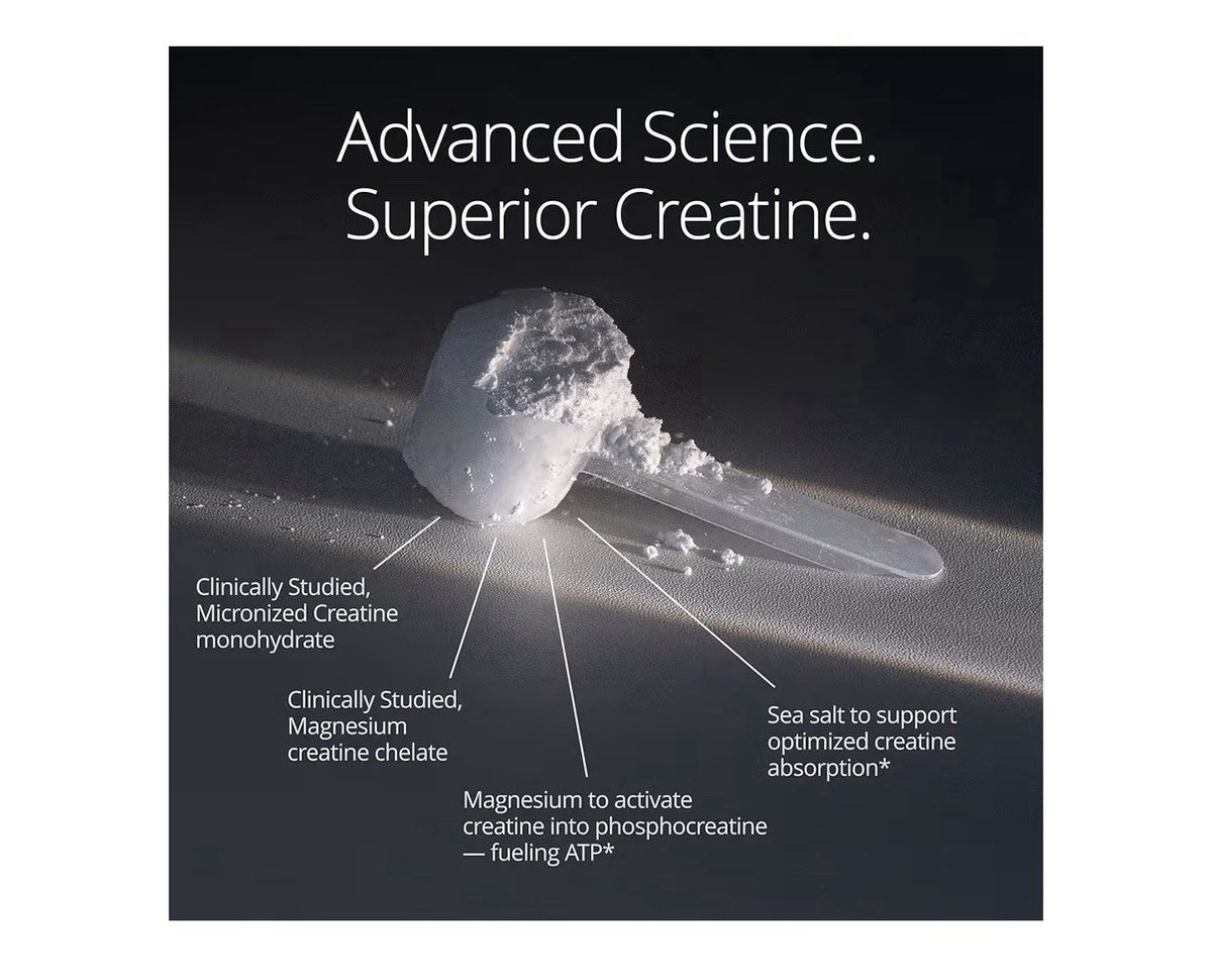 Qualia Creatine Advanced Creatine Complex Muscle Performance Health Aging 11.1oz
