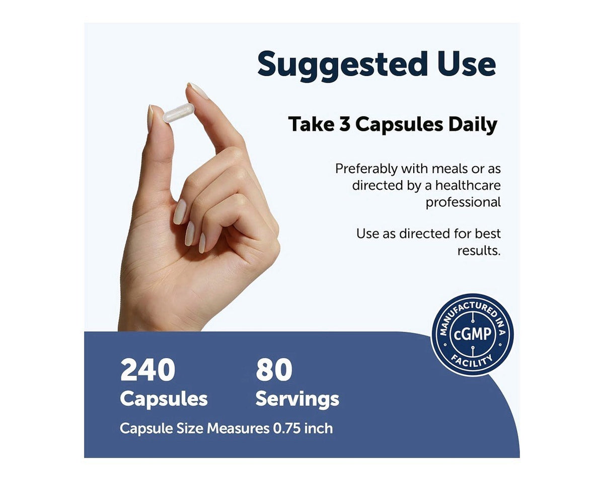 Micro Ingredients Fiber + Pro+Pre+Postbiotics+Enzymes 240 Vegetarian Capsules