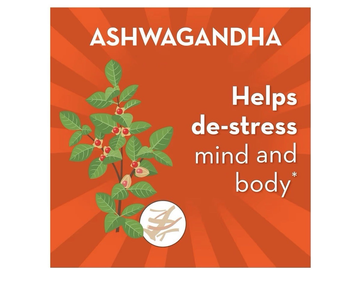 Align Probiotic Gut Health + Stress Support Digestive Health Calm Mind 2 Packs