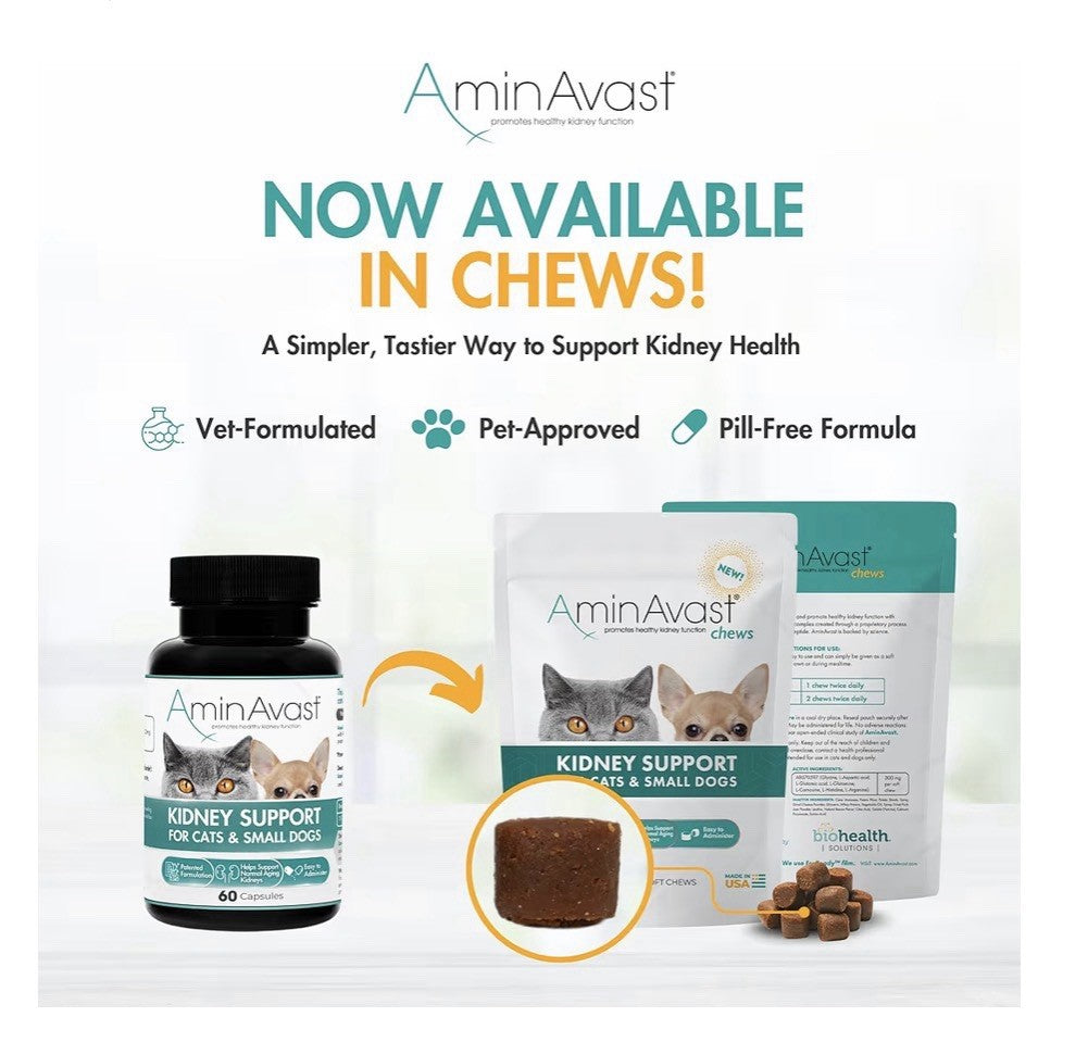 2 Pack AminAvast Kidney Support For Cats And Small Dogs Kidney Function 300 mg