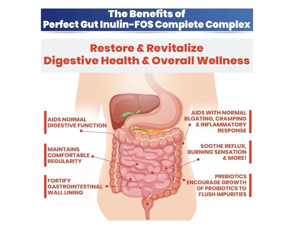 Perfect Gut: Inulin FOS Powder for Gut Health Prebiotic Inulin Prebiotic 2 LBS