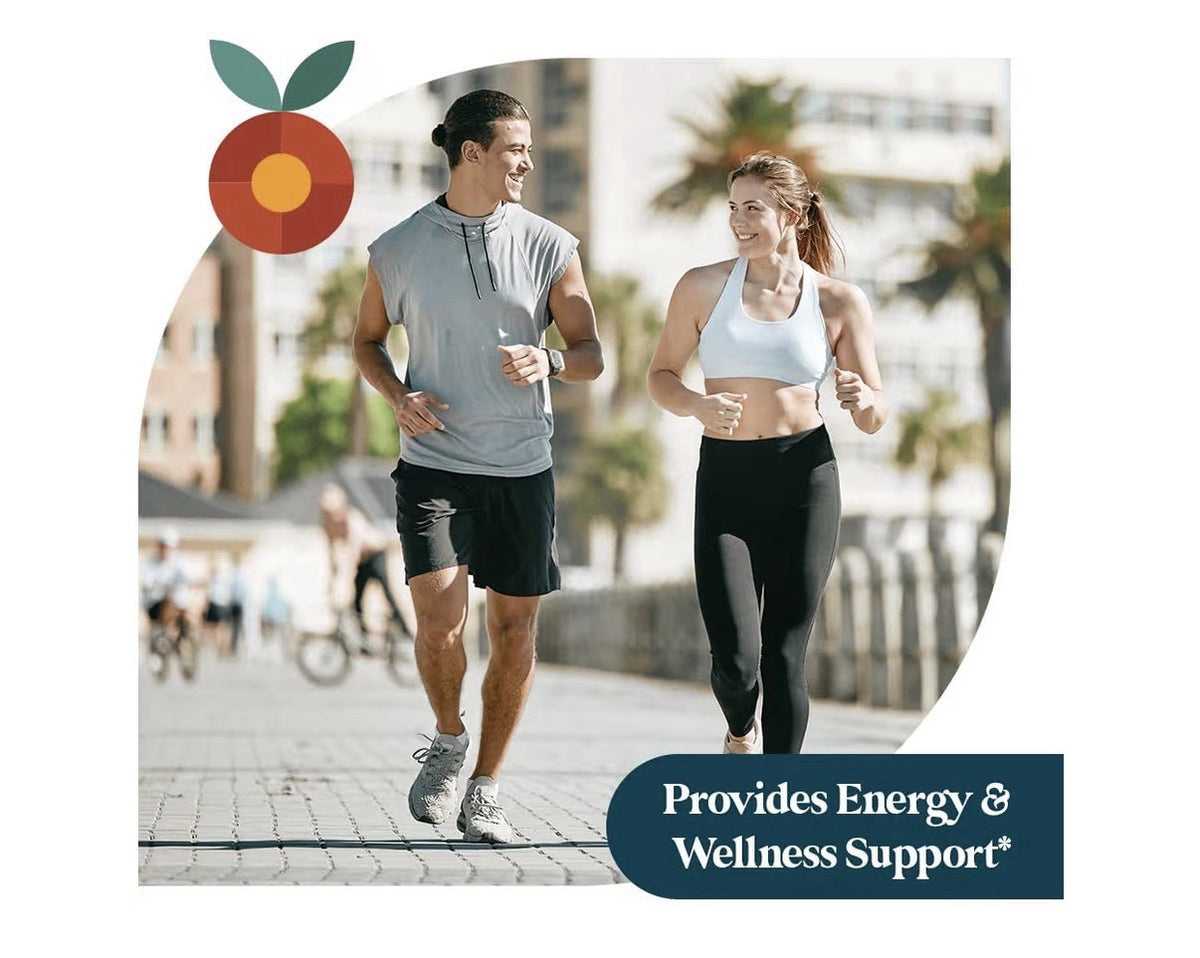Pattern Wellness Vitamin B12 Immune System Cardiovascular Support 2oz Drops
