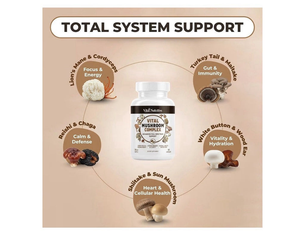 Vital Nutritive Vital Mushroom Complex Supplement Full Spectrum Support 60 Caps