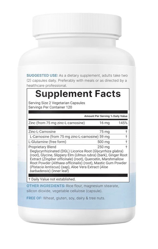Micro Ingredients Zinc Carnosine 10-in-1 Complex 240 Vegetarian Capsules