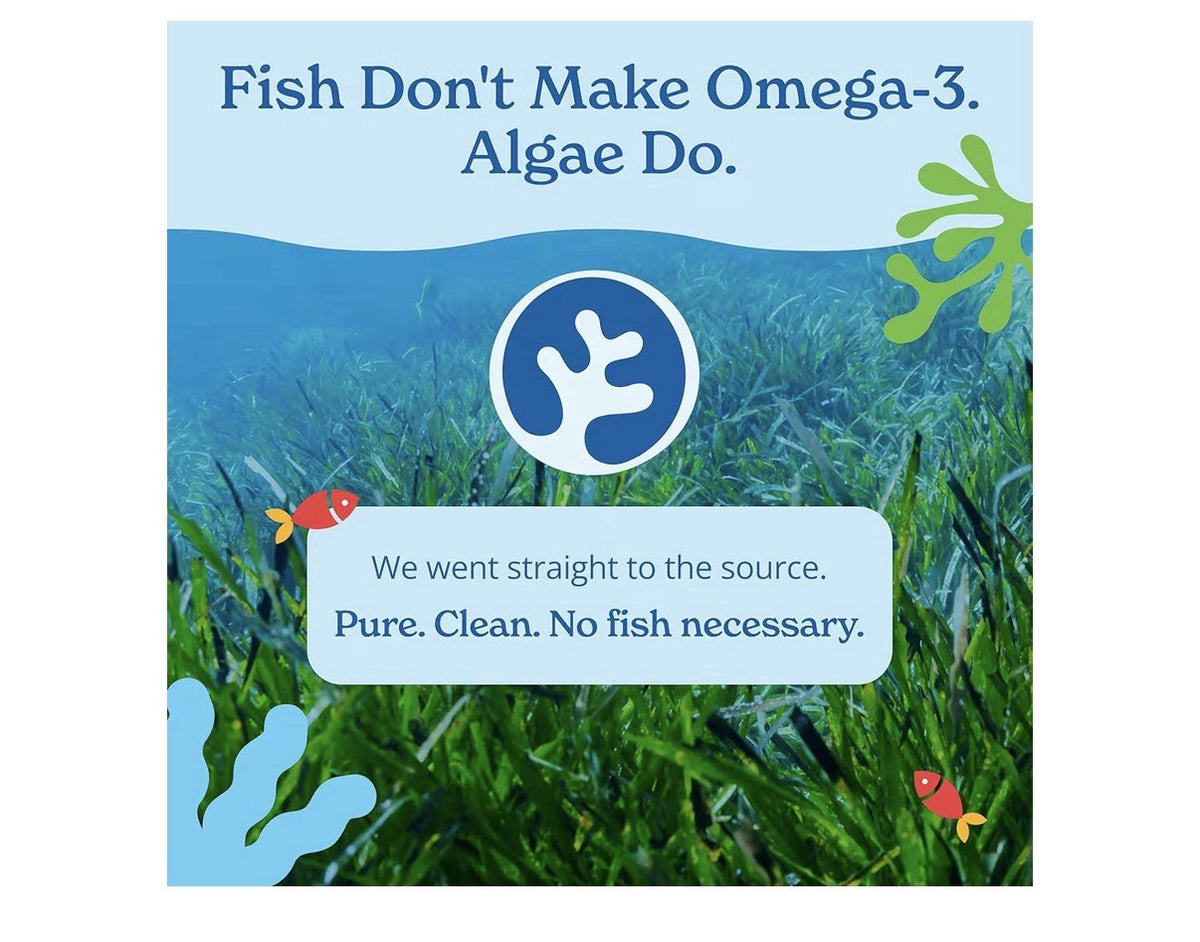 2 Pack Calgee Algae Sustainable Vegan Omega 3 DHA & EPA Total 120 Vegan Softgels