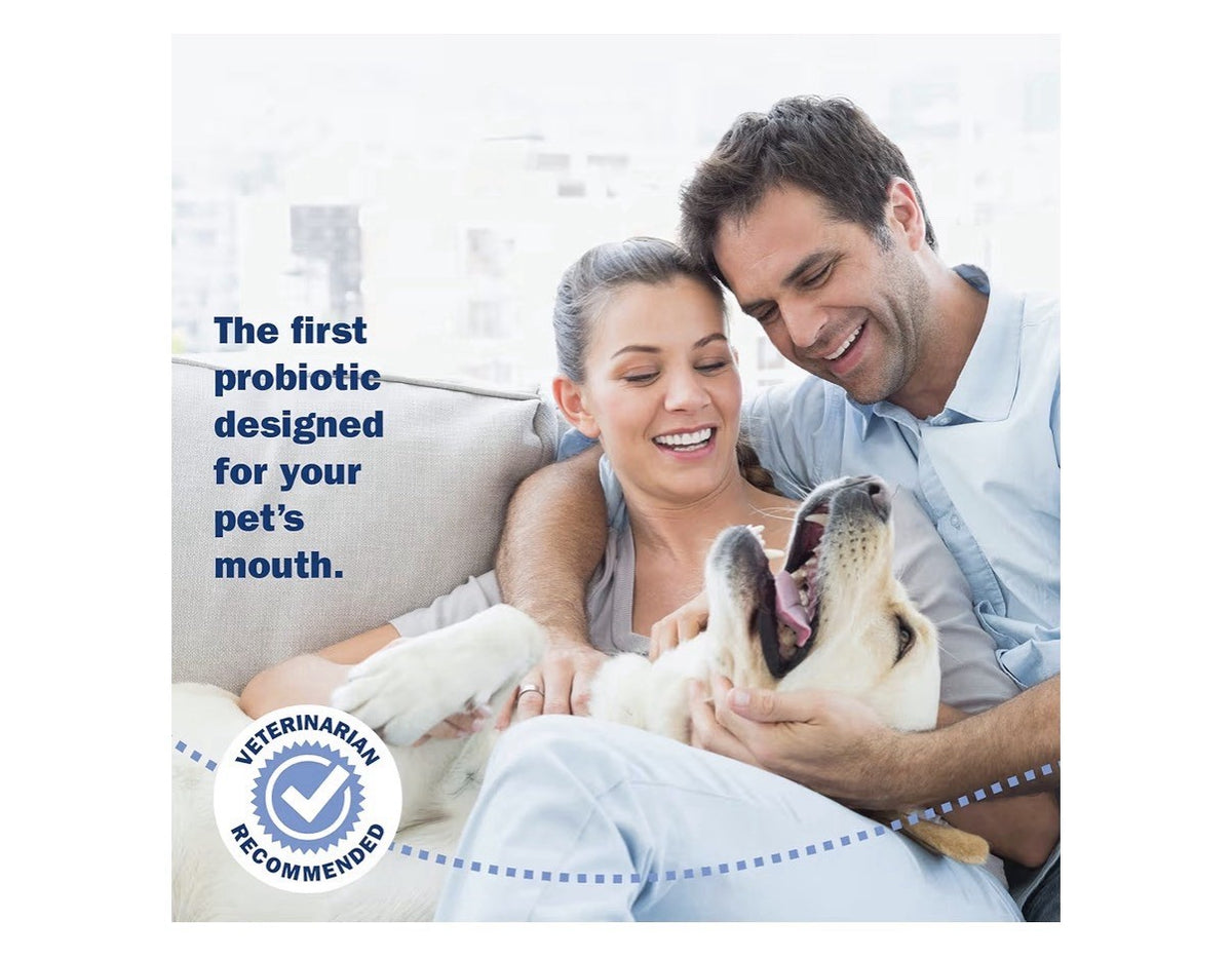3 Pack Probiora Dogs Probiotic Supplement for Oral Dental Care Reduce Bad Breath