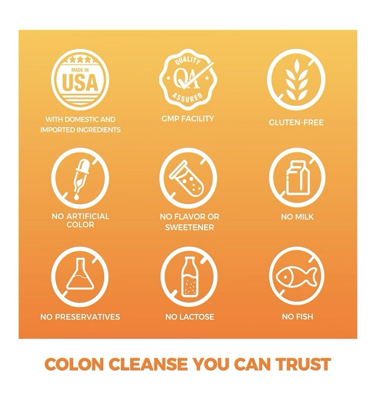 Vitamin World Colon Cleanse Digestive Health  Detox Gut Health 240 Capsules