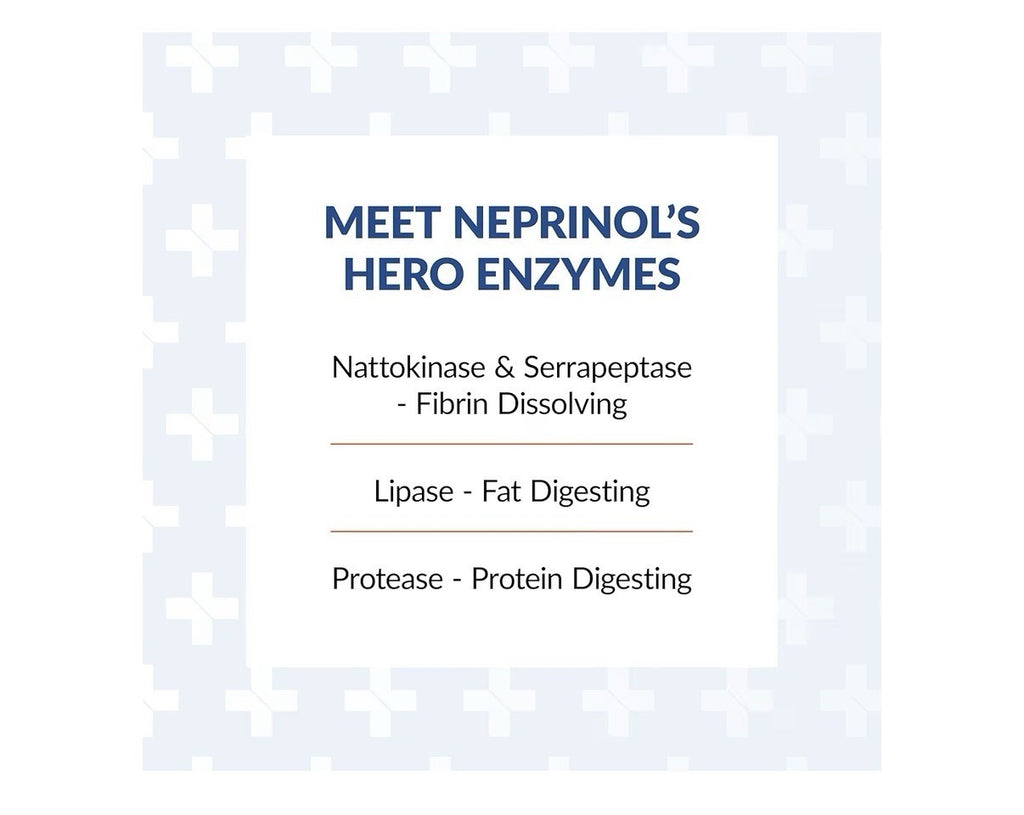 Arthur Andrew Medical Neprinol AFD Fibrin Defense Multi Enzyme Blend 90 Capsules