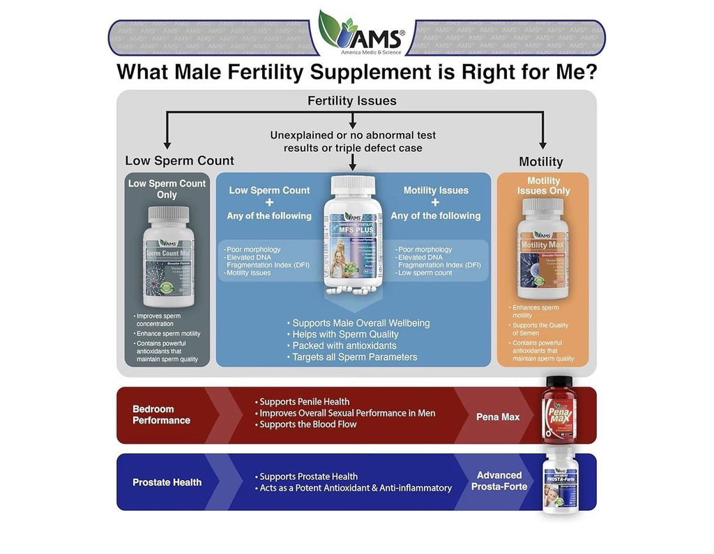 America Medic & Science Motility Max Booster Formula Sperm Motility 60 Capsules