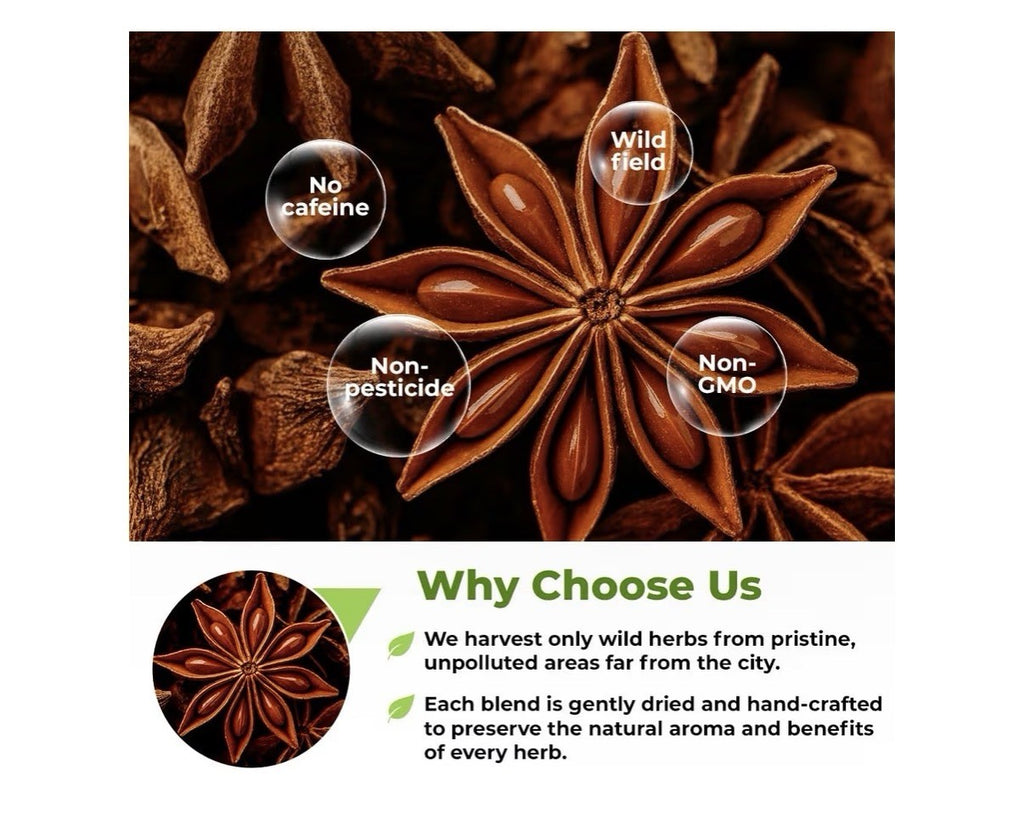 Wildfield Herbs Dried Anise Seeds Anaise Herb Pimpinella Anisum Semilass De Anis