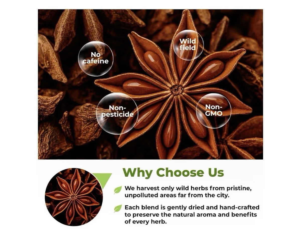 Wildfield Herbs Dried Anise Seeds Anaise Herb Pimpinella Anisum Semilass De Anis