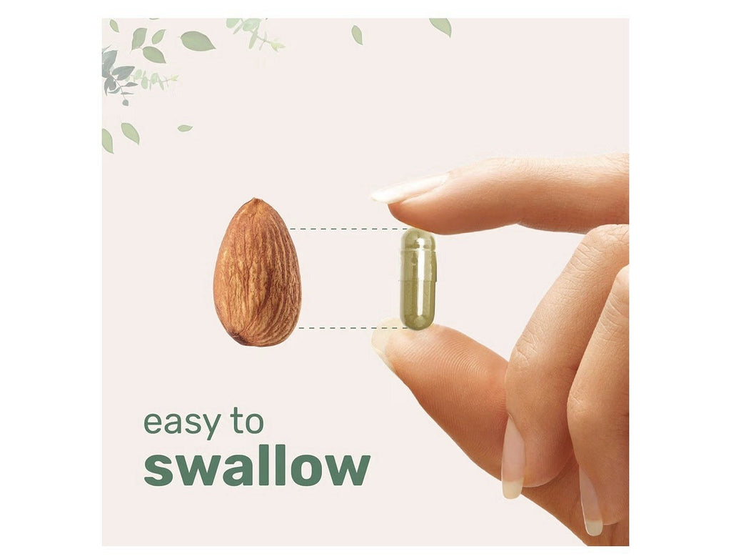 Micro Ingredients Fruit +  Veggies Probiotics Clean Ingredients Only 240 Capsule