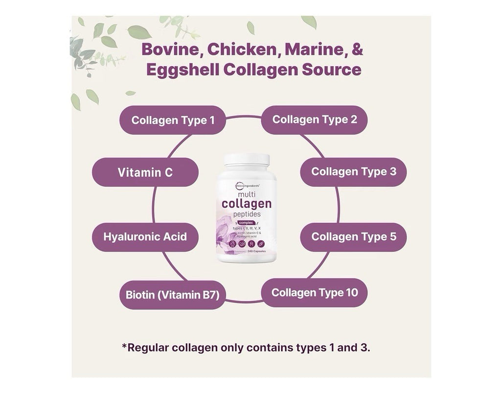 2 Pack Micro Ingredients Multi Collagen Peptides Complex Type I, II, III, V, X