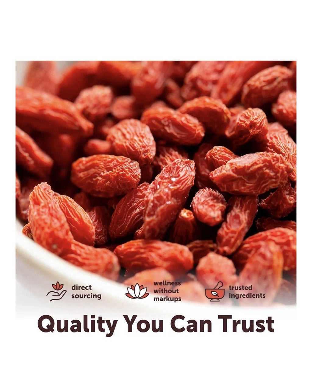 Micro Ingredients Organic Goji Berries Large Whole Sun Dried Berries 2lbs