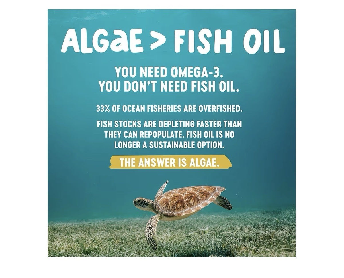 Freshfield Omega 3 Algae Based DHA + DPA Ocean Saving 120 Vegan Capsules