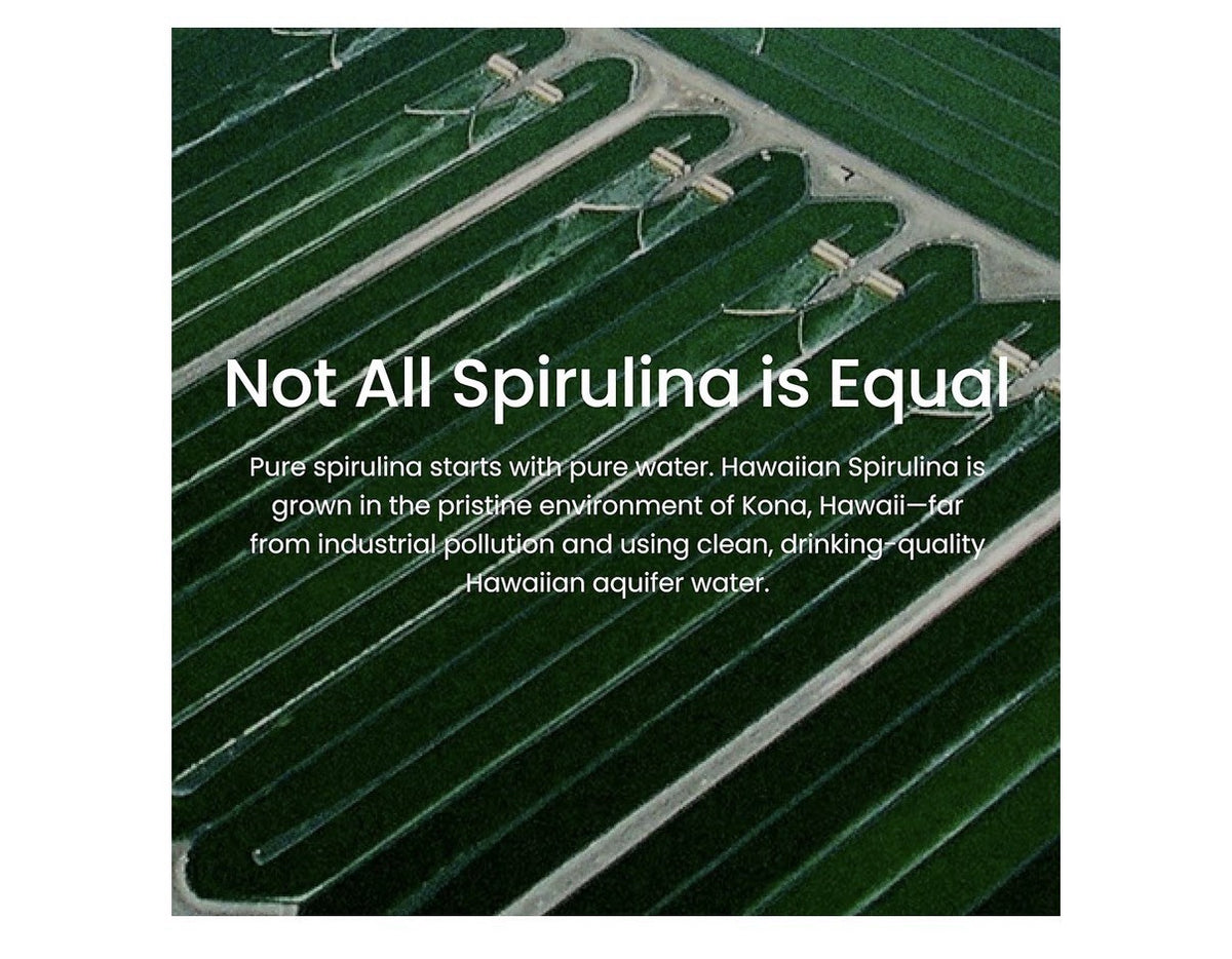 Nutrex Hawaii Pure Hawaiian Spirulina 500mg Immune Energy Celluar support 200Tab