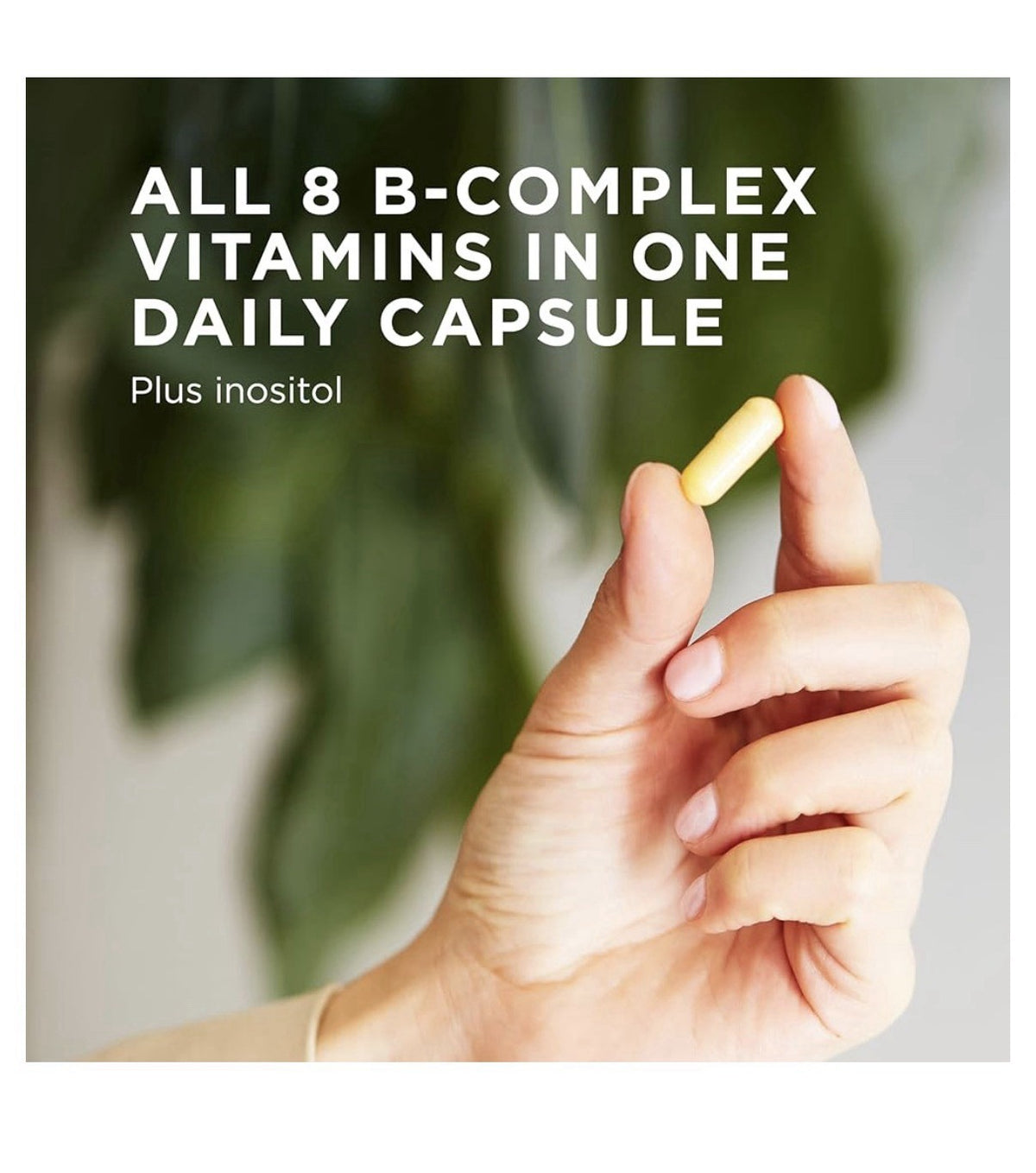 Solgar B-Complex "100" Nervous System Support Energy Metabolism 100 Capsules