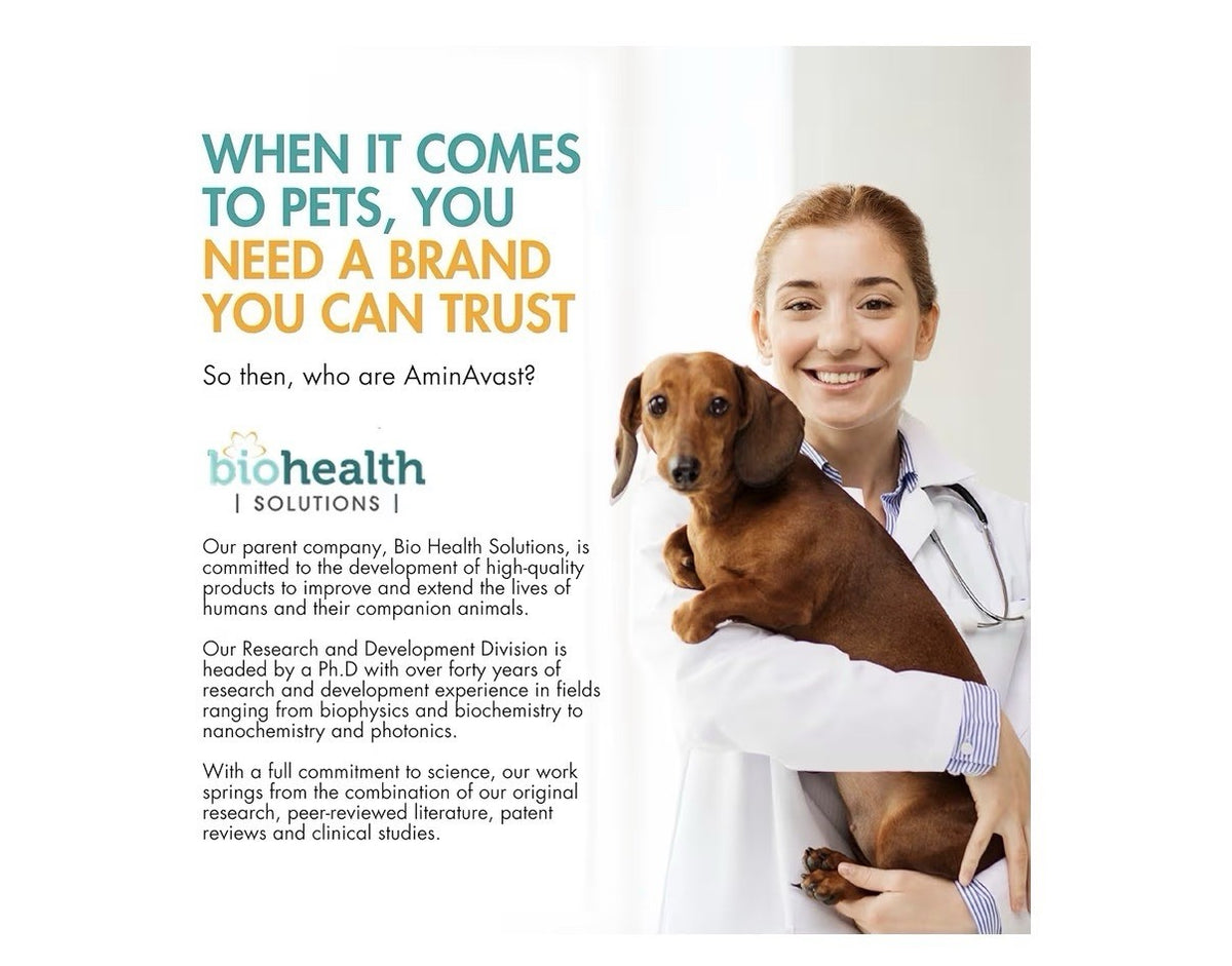 AminAvast Kidney Support For Cats And Small Dogs Kidney Function 300mg 60capsule