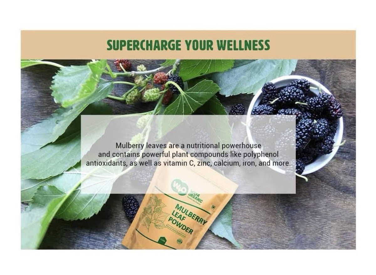 Way4 Organic Mulberry Leaf Powder Extract Natural Food Supplement 1 lb