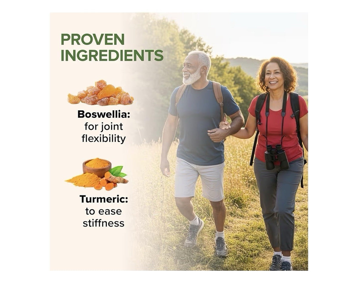 Zenwise Health Joint Support Supplement with Glucosamine Chondroitin MSM 90 Tabs