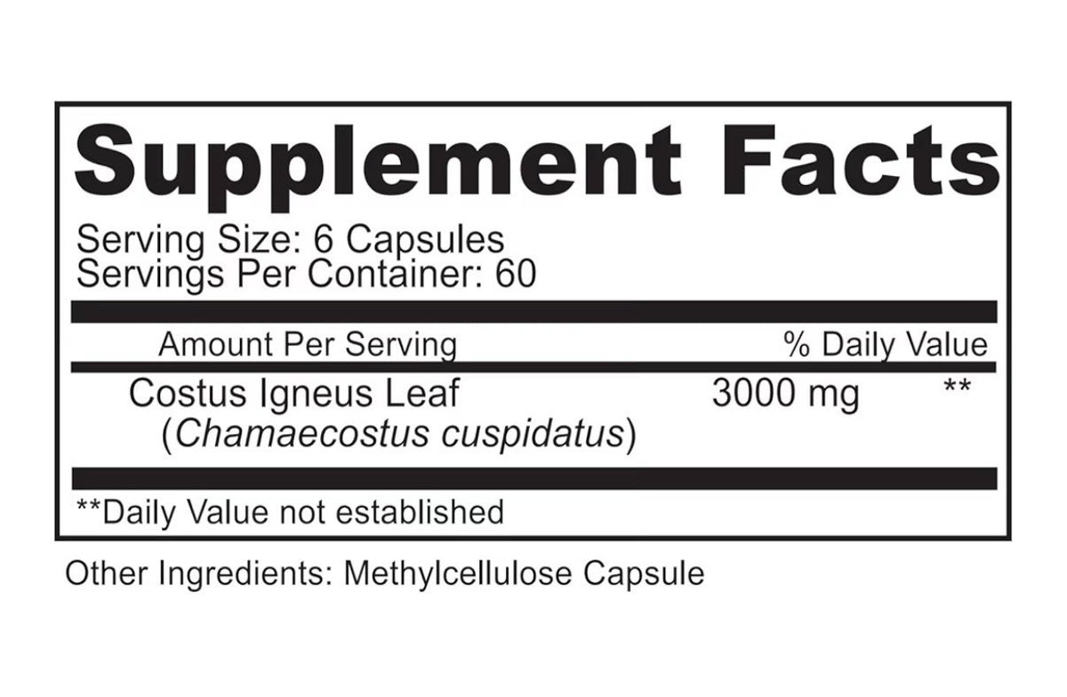 ORGANOPLEX Insulin Plant Capsules (Costus Igneus) 100% Natural Supplement 360Cap