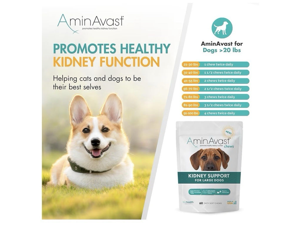 AminAvast Chews Kidney Support For Large Dogs Kidney Function 1000mg 60 Chews