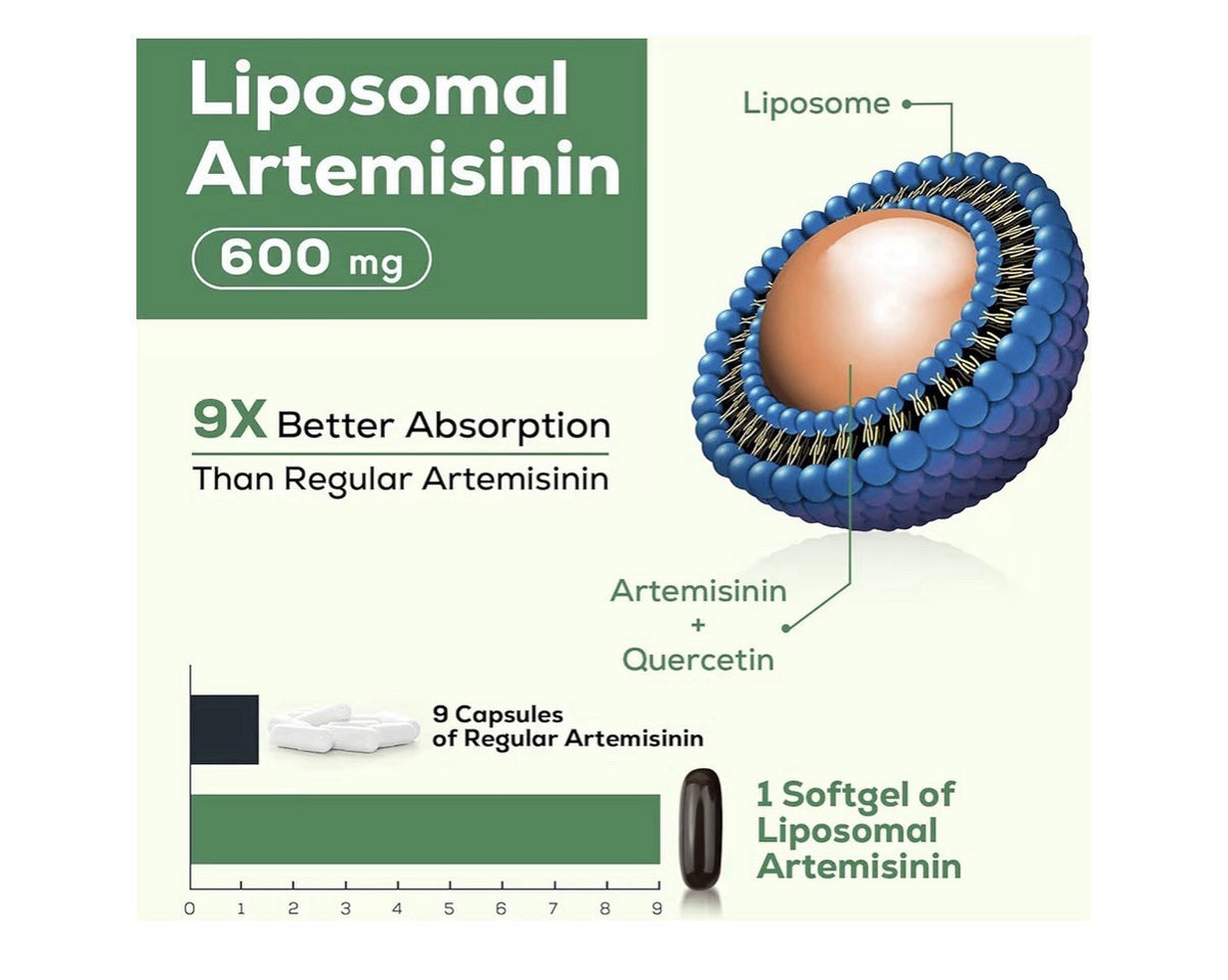 Osasuna Liposomal Artemisinin 900mg Maximum Absorption Sweet Wormwood 2 Packs
