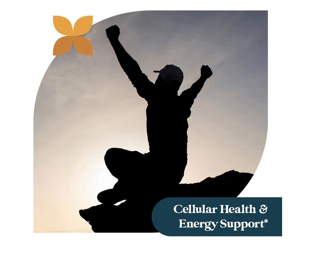 Pattern Wellness Glutathione Detoxification & Immune Support Antioxidant 30 Caps