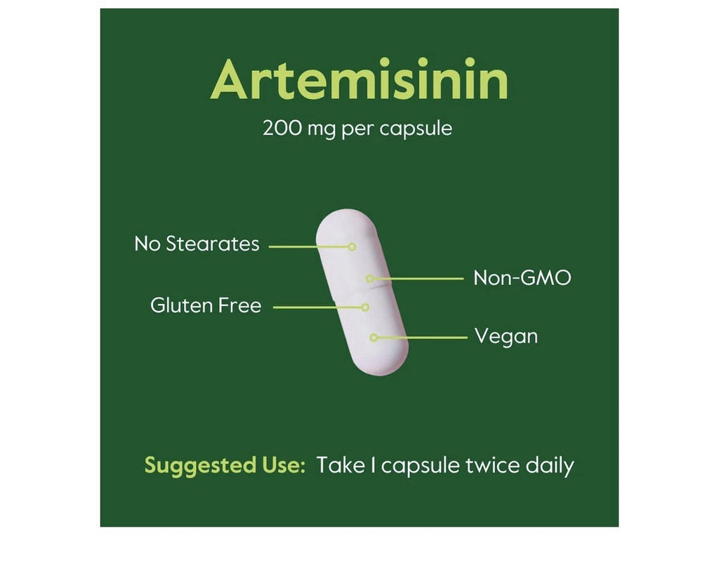 BESTVITE Artemisinin Pure 200mg Per Capsule 2 Pack 60 Vegetarian Capsules Each