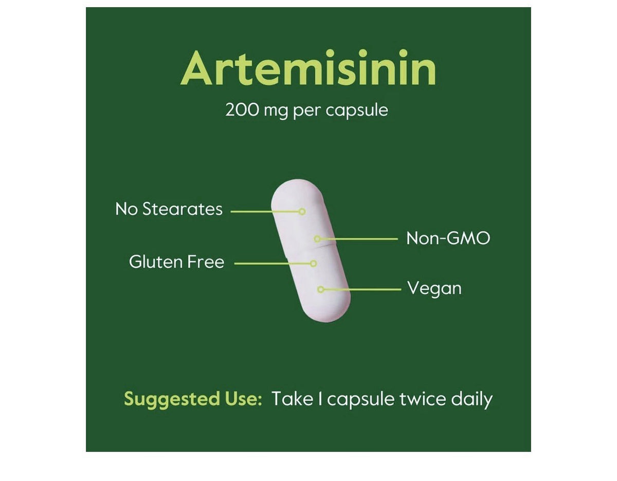 BESTVITE Artemisinin Pure 200mg Per Capsule 2 Pack 60 Vegetarian Capsules Each