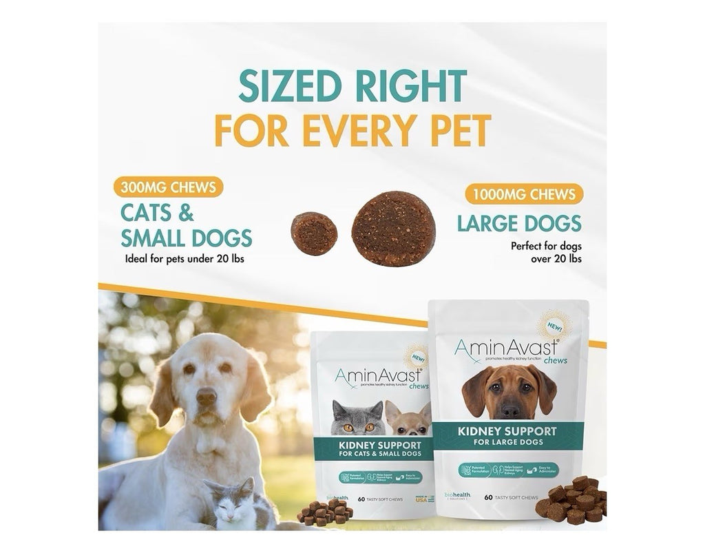 AminAvast Chews Kidney Support For Large Dogs Kidney Function 1000mg 60 Chews