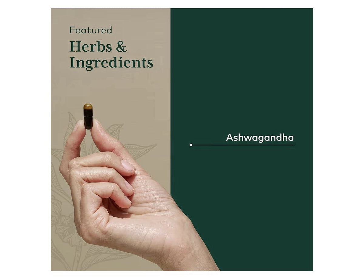GAIA HERBS PRO Ashwagandha 700 Healthy Immune Stress Support Supplement 120 Caps
