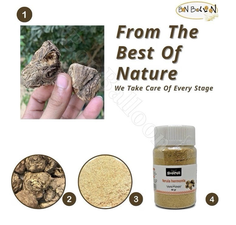 3Pack Shana Sharsh El Zaloua Ferula Hermonis Powder Natural Herbشانه شرش الزلوع