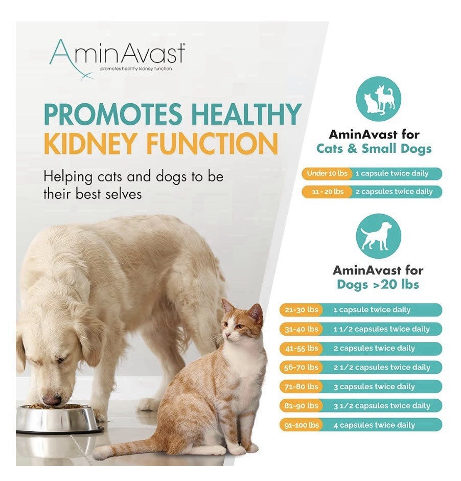 AminAvast Kidney Support For Dogs Supplement Natural Kidney Function 1000mg 60ca