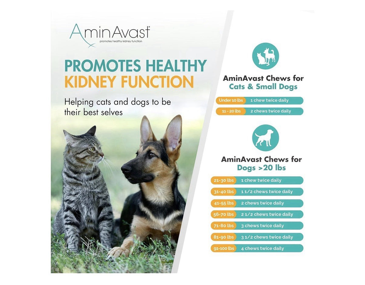 AminAvast Chews Kidney Support Cats & Small Dogs Kidney Function 300mg 60 Chews