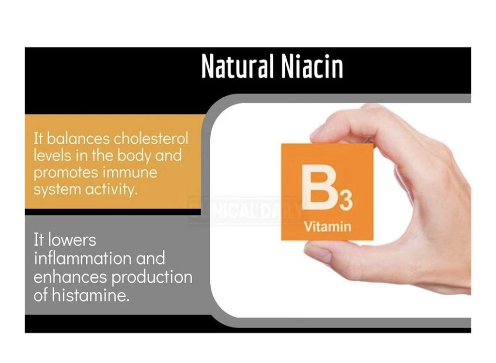 Clinical Daily Blood Circulation Supplement Circulation And Vein Support 90 Caps