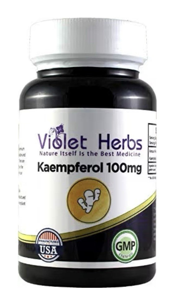Violet Herbs Kaempferol 100mg 60 Capsules Supplement