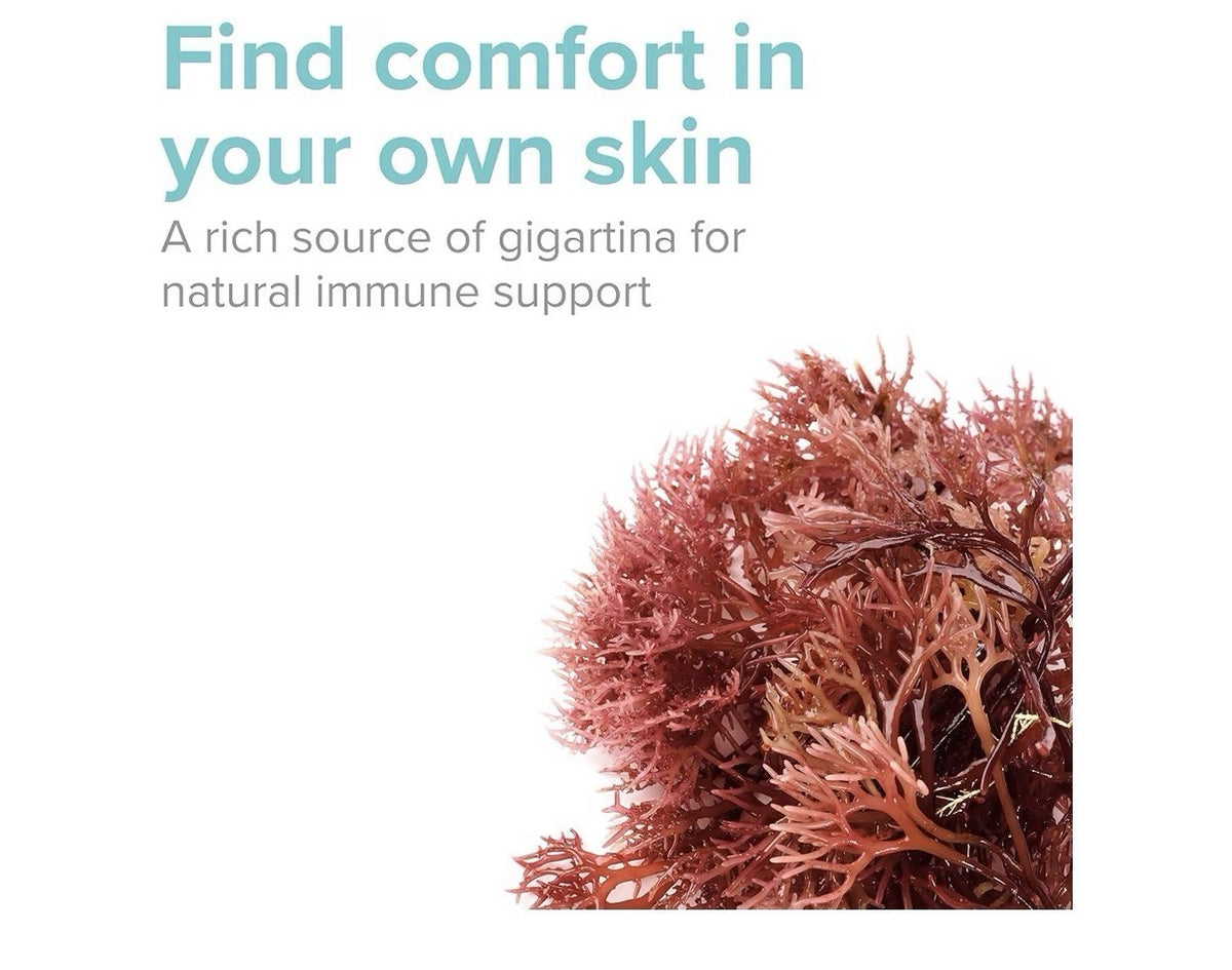 Vibrant Health Red Marine Algae Gigartina Plant-Based Immune Support 60 Capsules