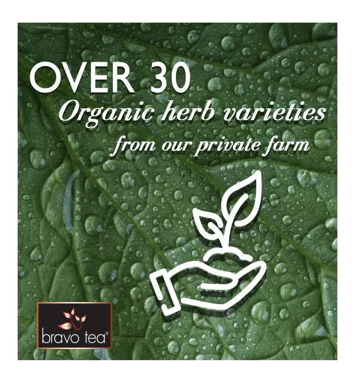 Bravo Tea Sugar Level Herbal 20TeaBags Promotes Healthy Sugar Level CaffeineFree