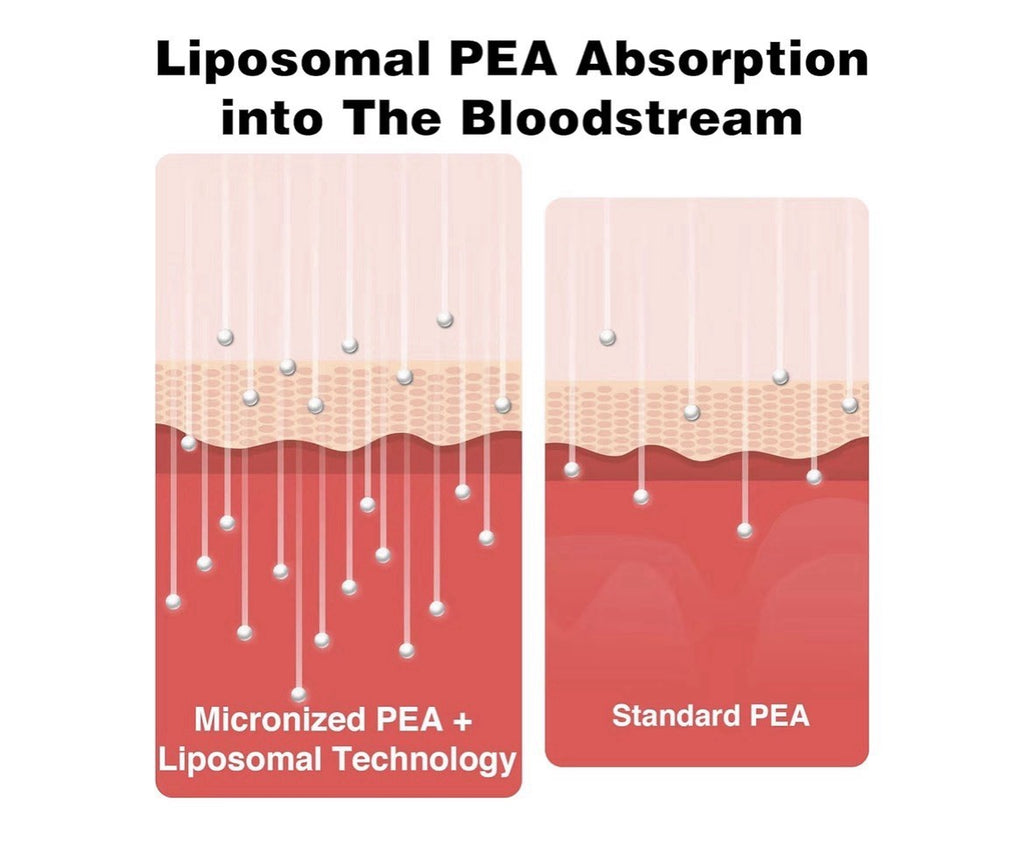 Rosmolo Liposomal PEA Palmitoylethanolamide 1000 mg + Luteolin 100 mg 60 Softgel