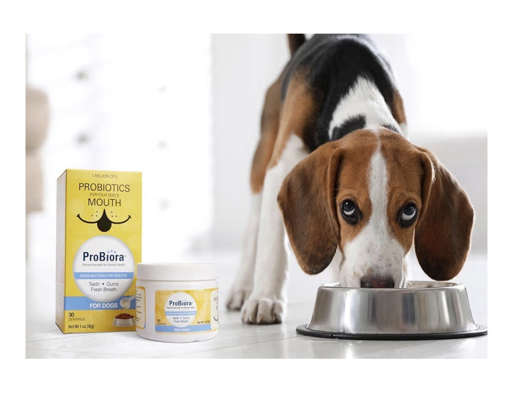 2 Pack Probiora Dogs Probiotic Supplement for Oral Dental Care Reduce Bad Breath