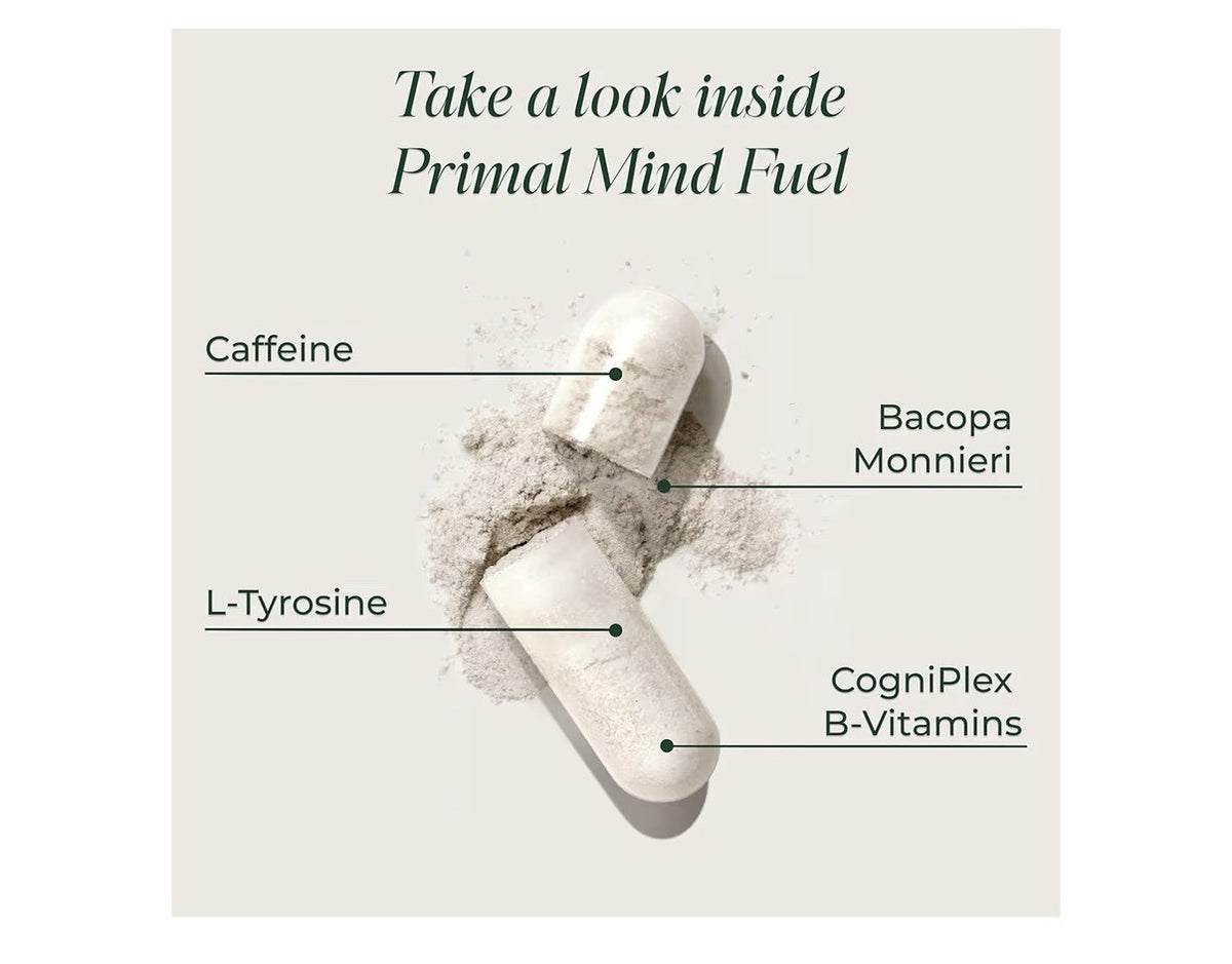 Primal Harvest Primal Mind Fuel Brain Booster Supplement Focus Energy 2 Packs