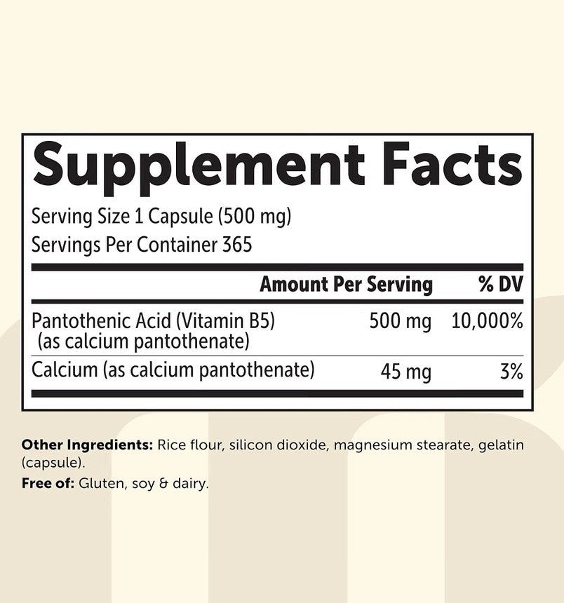 Micro Ingredients Pantothenic Acid Vitamin B5 500 mg Per Serving 365 Capsules