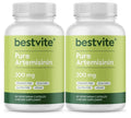 BESTVITE Artemisinin Pure 200mg Per Capsule 2 Pack 60 Vegetarian Capsules Each